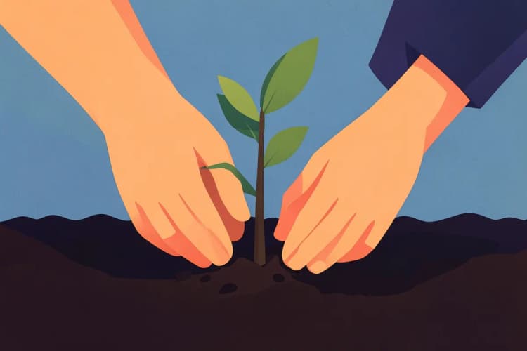 Pessoa plantando uma pequena árvore em solo fértil, representando o crescimento a longo prazo do SEO.